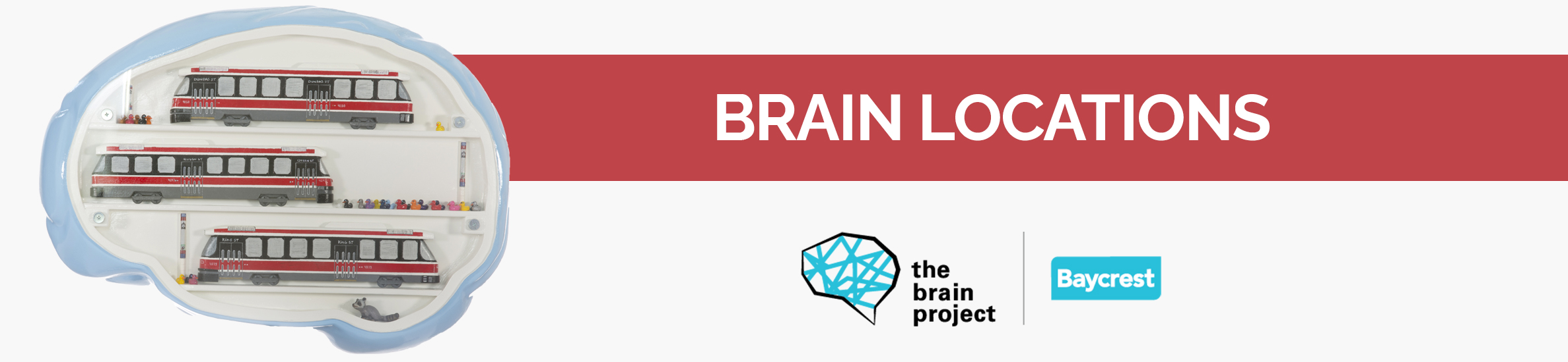 Brain Locations