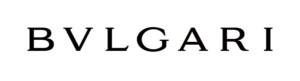 BULGARI | Sponsor | The Brain Project